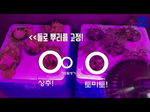 [자기야 12탄] 시각장애인의 무작정 수경재배..